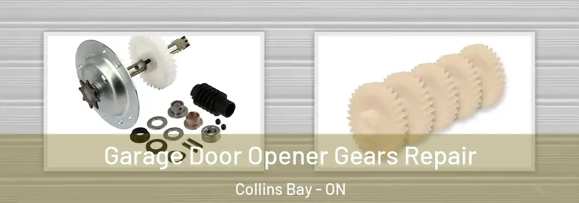 Garage Door Opener Gears Repair Collins Bay - ON