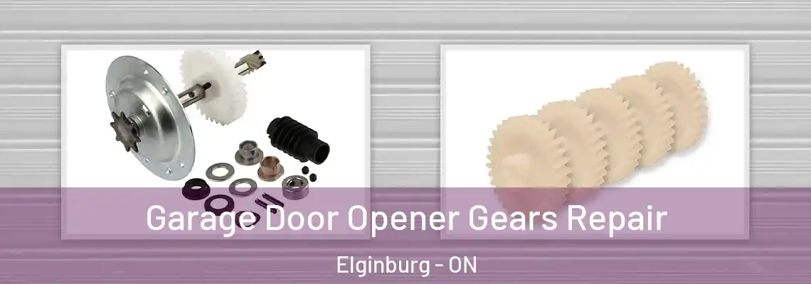 Garage Door Opener Gears Repair Elginburg - ON