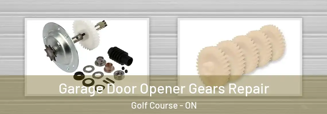 Garage Door Opener Gears Repair Golf Course - ON