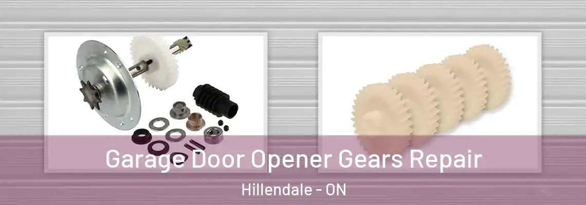 Garage Door Opener Gears Repair Hillendale - ON