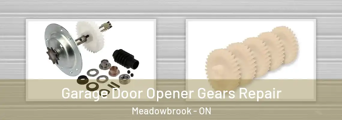  Garage Door Opener Gears Repair Meadowbrook - ON