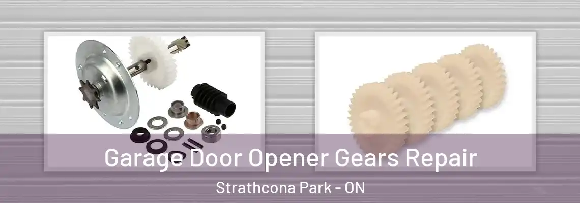 Garage Door Opener Gears Repair Strathcona Park - ON
