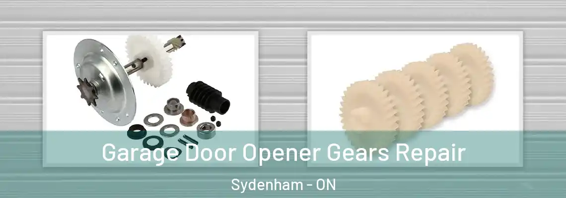  Garage Door Opener Gears Repair Sydenham - ON