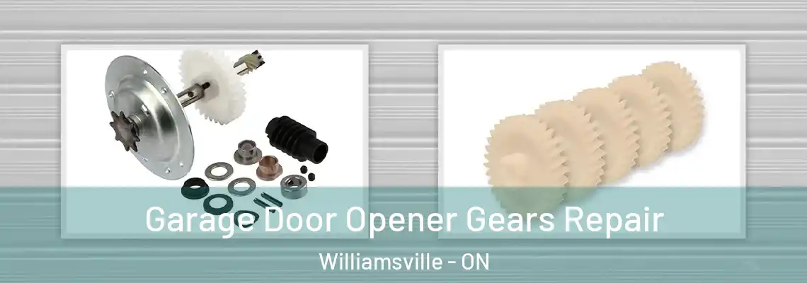 Garage Door Opener Gears Repair Williamsville - ON