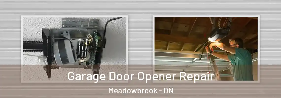 Garage Door Opener Repair Meadowbrook - ON