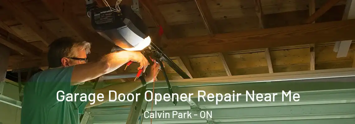 Garage Door Opener Repair Near Me Calvin Park - ON