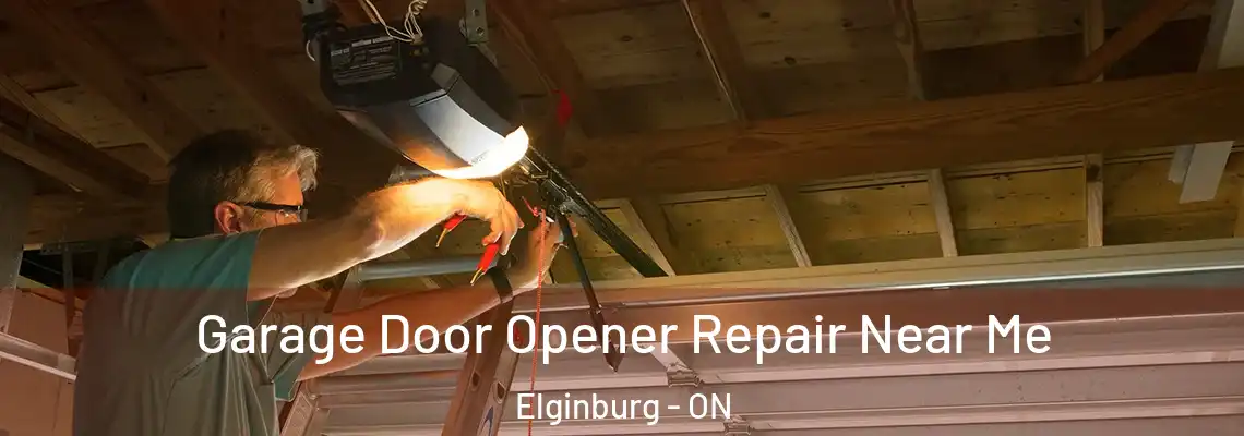 Garage Door Opener Repair Near Me Elginburg - ON