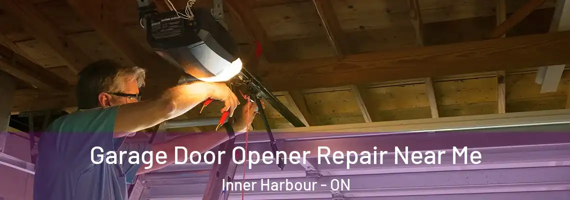 Garage Door Opener Repair Near Me Inner Harbour - ON
