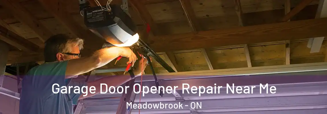 Garage Door Opener Repair Near Me Meadowbrook - ON