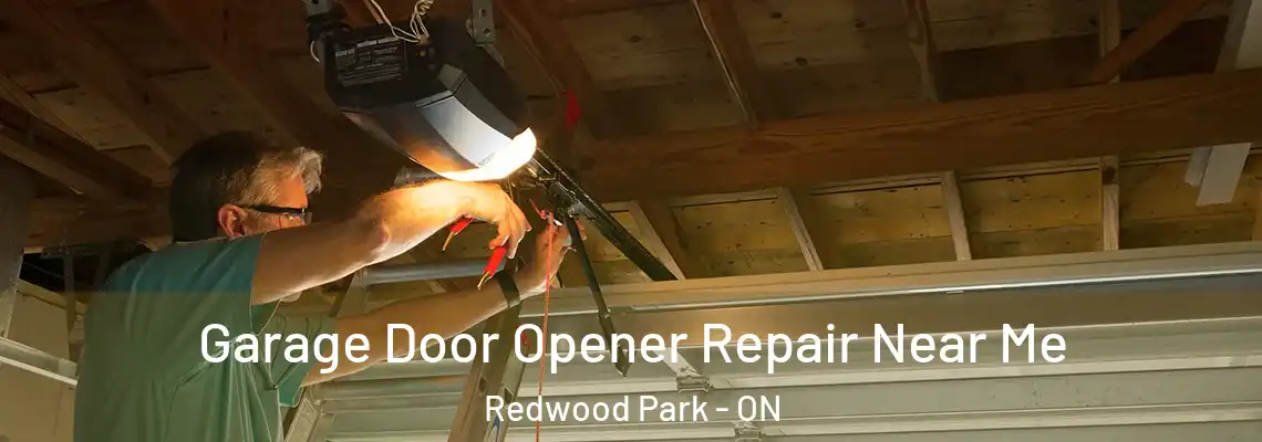 Garage Door Opener Repair Near Me Redwood Park - ON