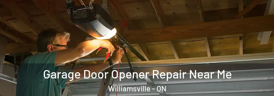 Garage Door Opener Repair Near Me Williamsville - ON