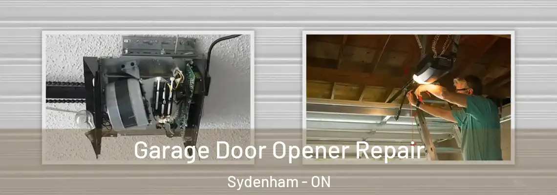 Garage Door Opener Repair Sydenham - ON