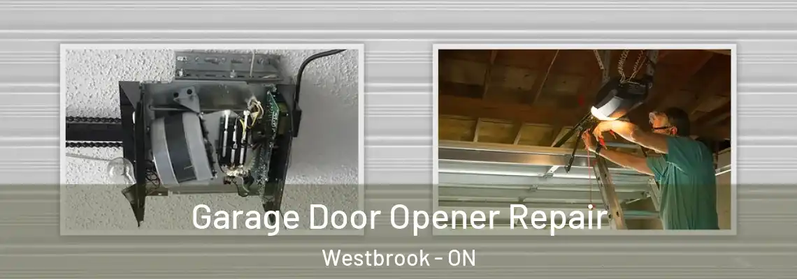 Garage Door Opener Repair Westbrook - ON
