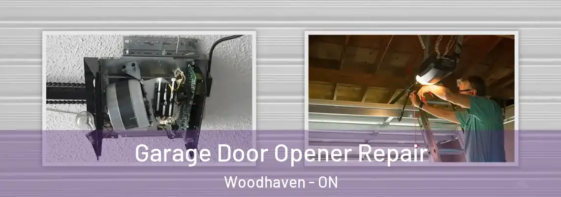Garage Door Opener Repair Woodhaven - ON