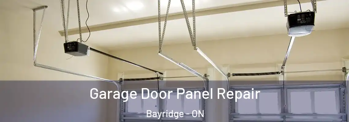 Garage Door Panel Repair Bayridge - ON