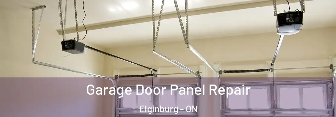 Garage Door Panel Repair Elginburg - ON