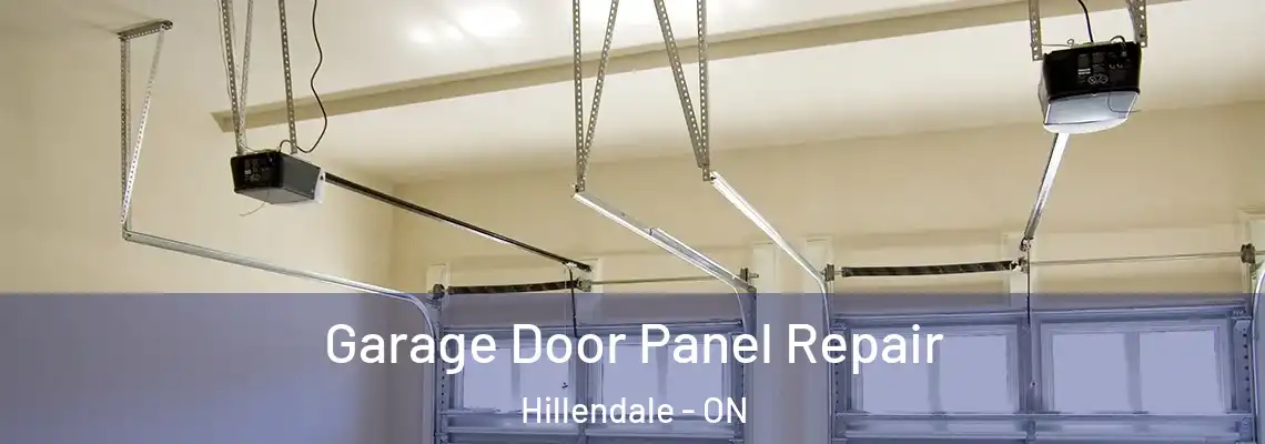  Garage Door Panel Repair Hillendale - ON