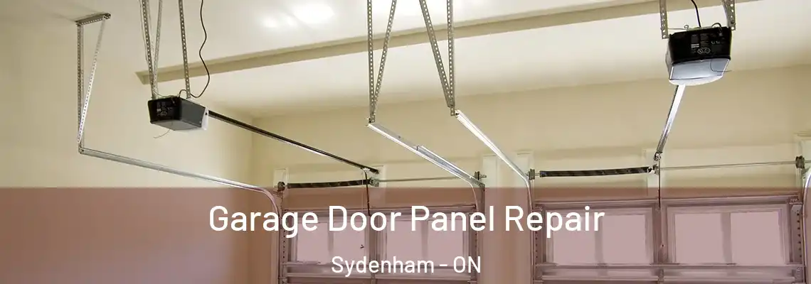 Garage Door Panel Repair Sydenham - ON
