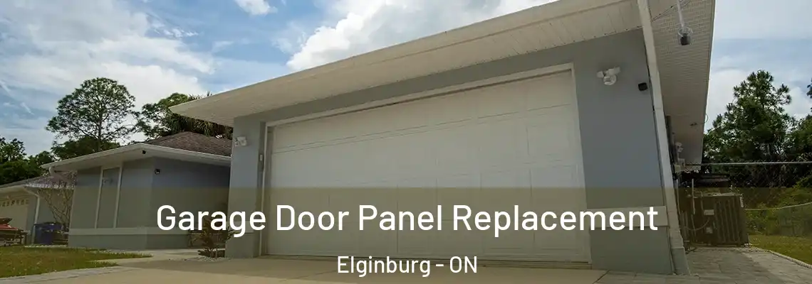 Garage Door Panel Replacement Elginburg - ON