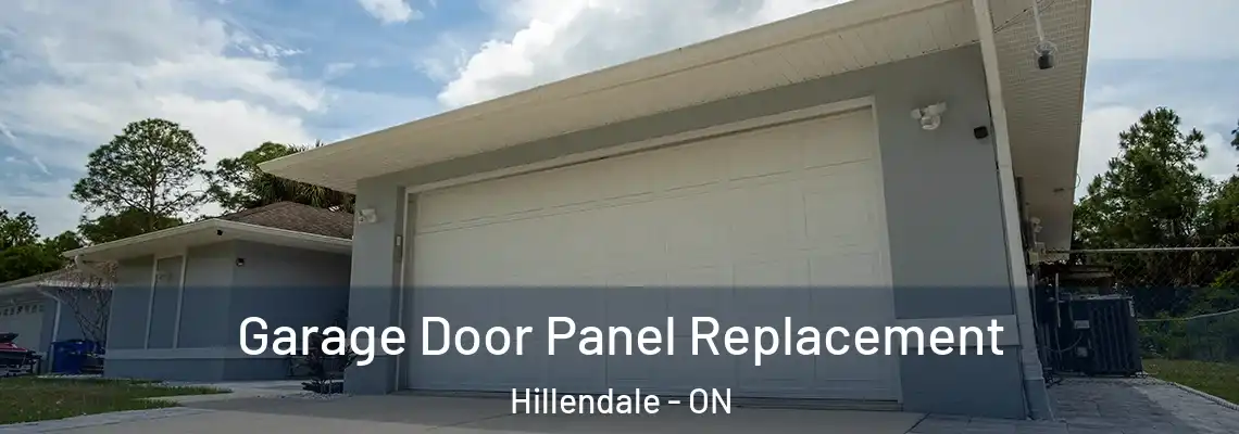 Garage Door Panel Replacement Hillendale - ON