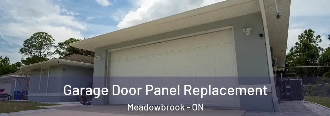 Garage Door Panel Replacement Meadowbrook - ON