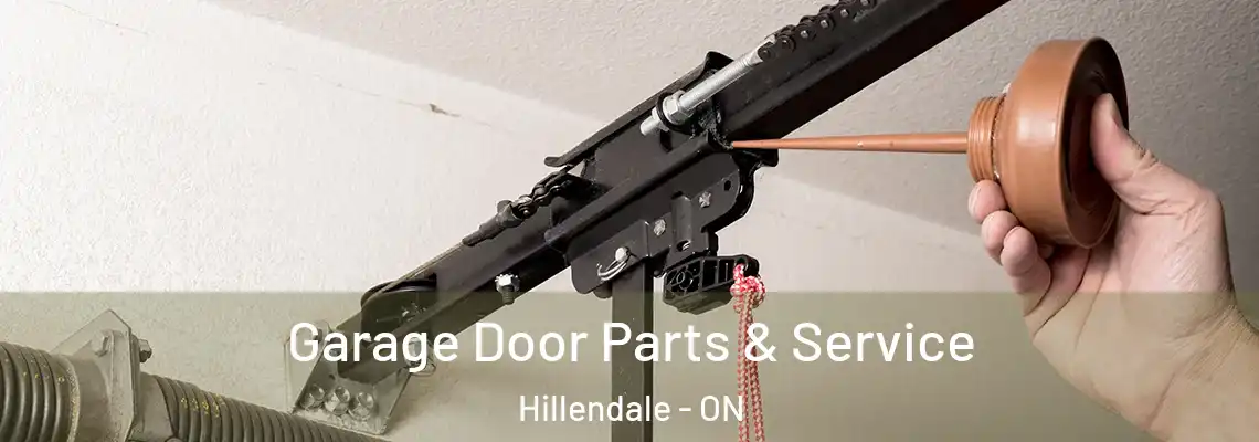 Garage Door Parts & Service Hillendale - ON