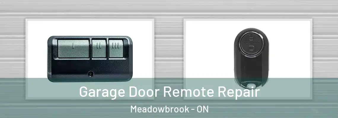 Garage Door Remote Repair Meadowbrook - ON