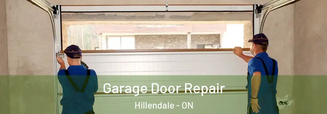  Garage Door Repair Hillendale - ON