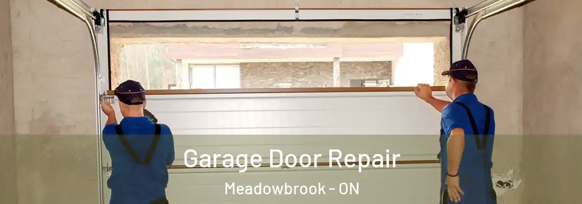Garage Door Repair Meadowbrook - ON
