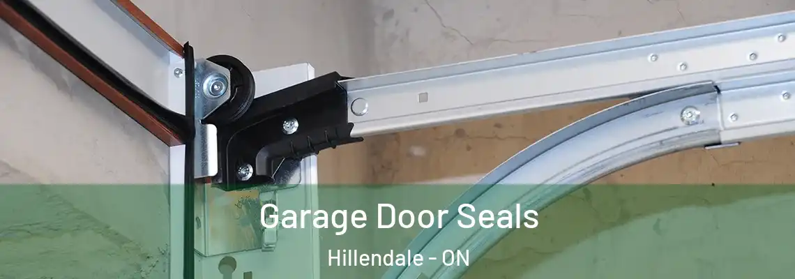 Garage Door Seals Hillendale - ON