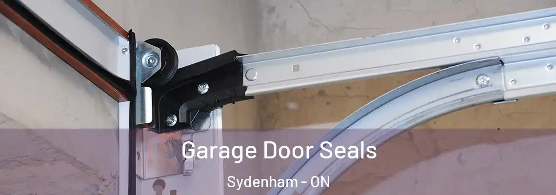 Garage Door Seals Sydenham - ON
