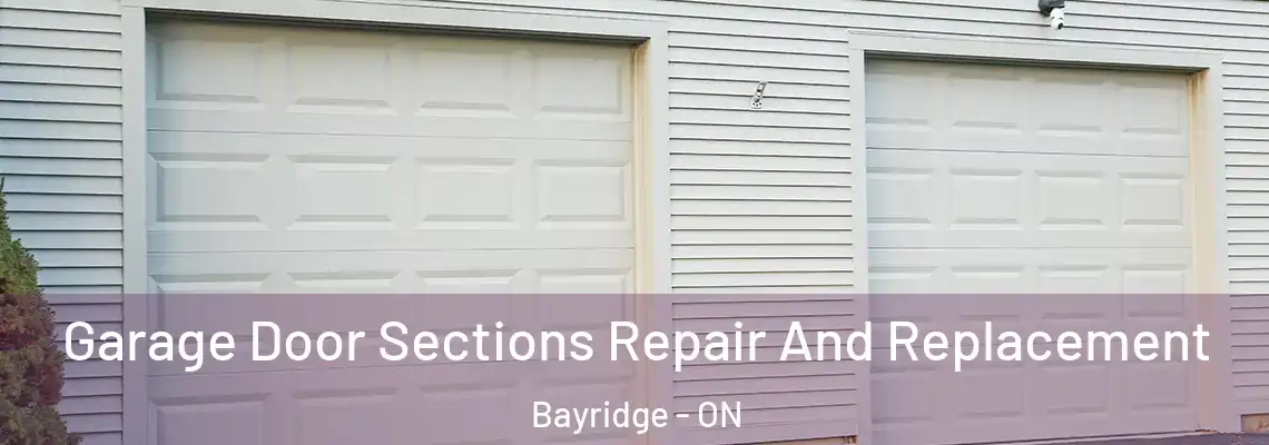 Garage Door Sections Repair And Replacement Bayridge - ON