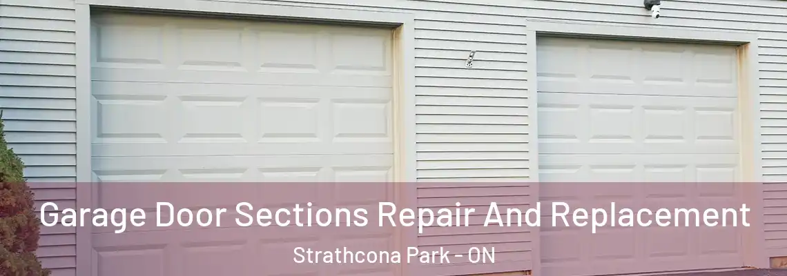 Garage Door Sections Repair And Replacement Strathcona Park - ON