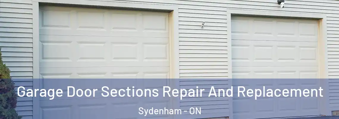Garage Door Sections Repair And Replacement Sydenham - ON