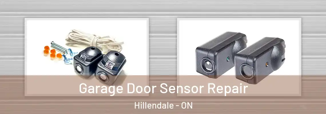 Garage Door Sensor Repair Hillendale - ON