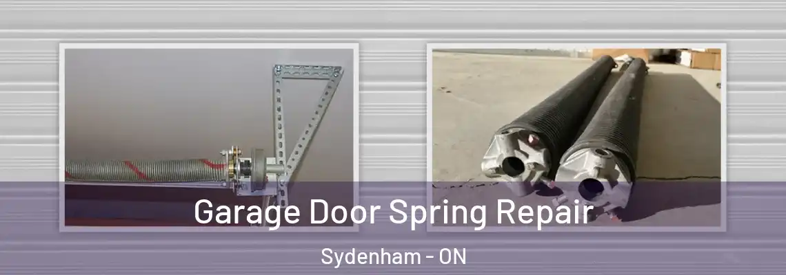  Garage Door Spring Repair Sydenham - ON