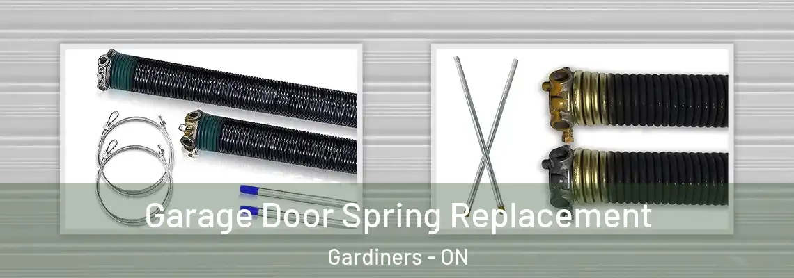 Garage Door Spring Replacement Gardiners - ON