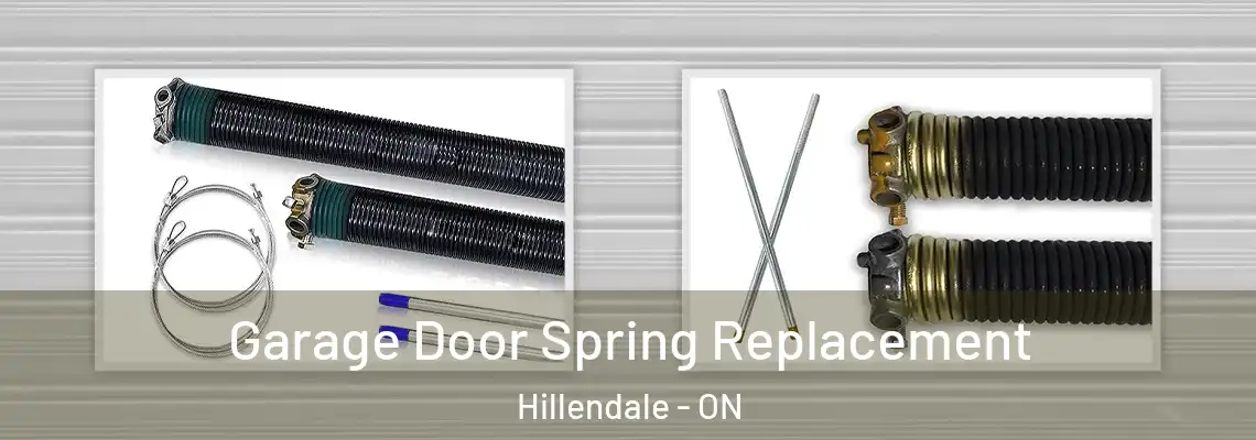  Garage Door Spring Replacement Hillendale - ON