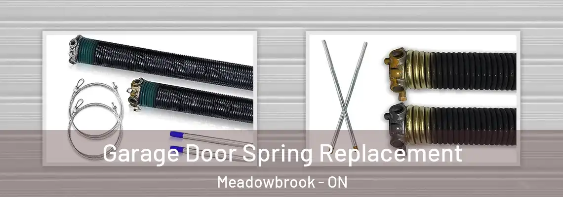 Garage Door Spring Replacement Meadowbrook - ON