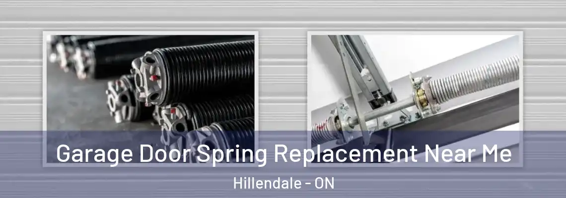 Garage Door Spring Replacement Near Me Hillendale - ON