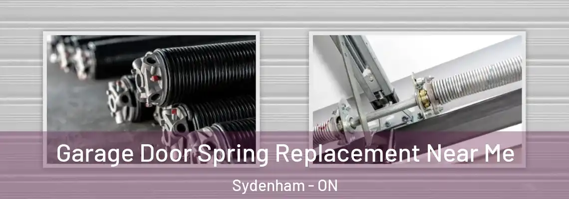 Garage Door Spring Replacement Near Me Sydenham - ON