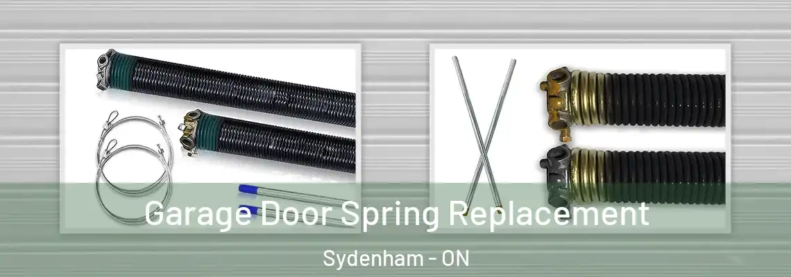 Garage Door Spring Replacement Sydenham - ON