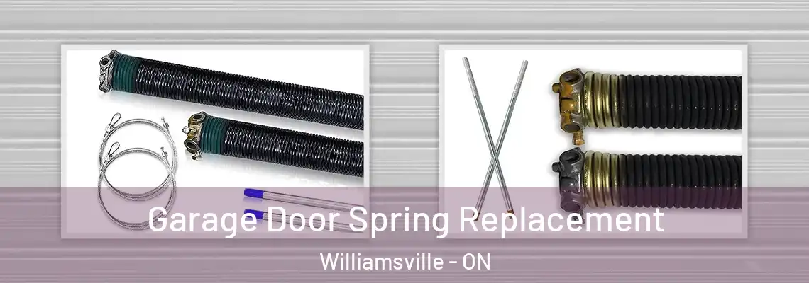 Garage Door Spring Replacement Williamsville - ON