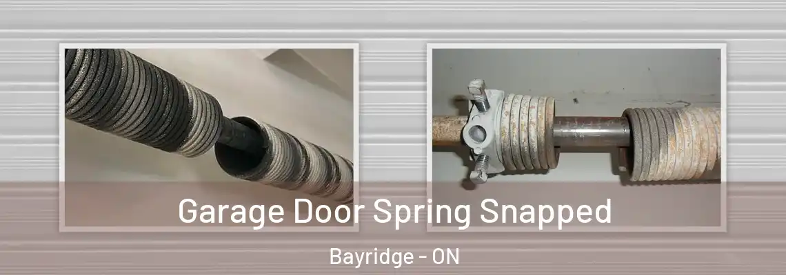  Garage Door Spring Snapped Bayridge - ON