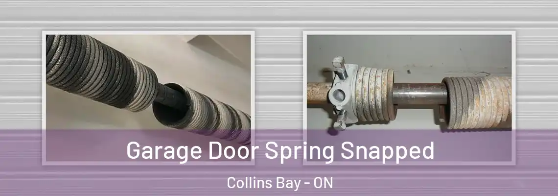  Garage Door Spring Snapped Collins Bay - ON