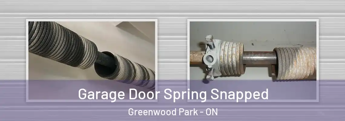  Garage Door Spring Snapped Greenwood Park - ON