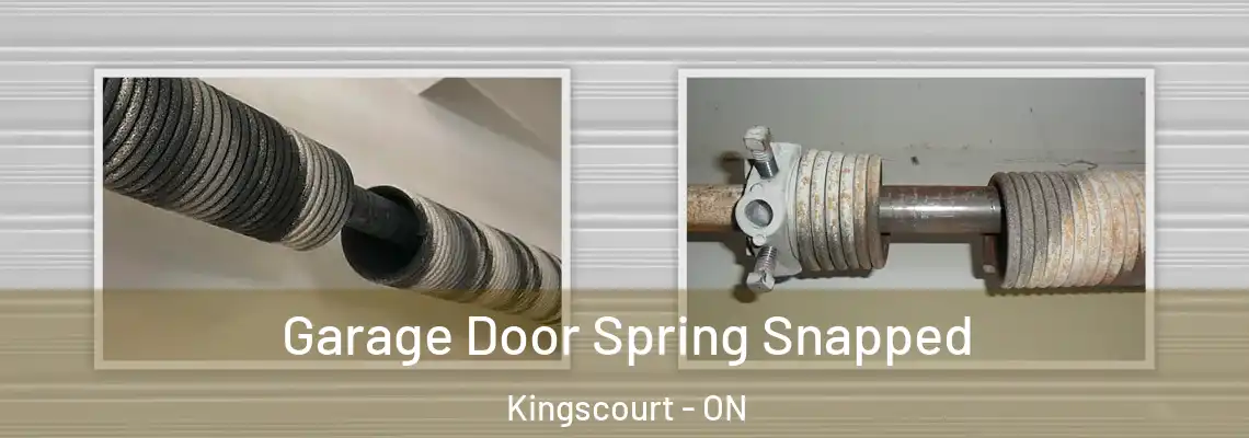  Garage Door Spring Snapped Kingscourt - ON