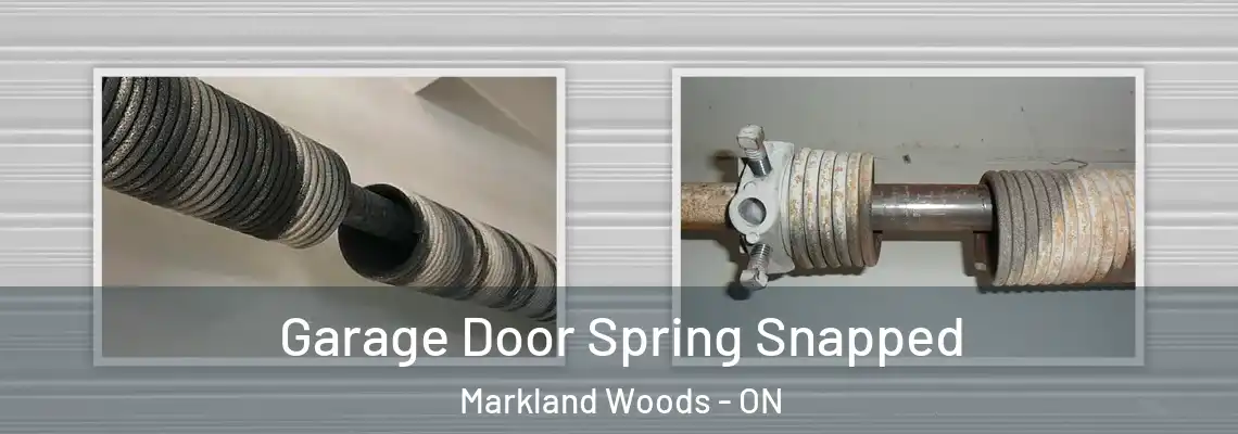  Garage Door Spring Snapped Markland Woods - ON