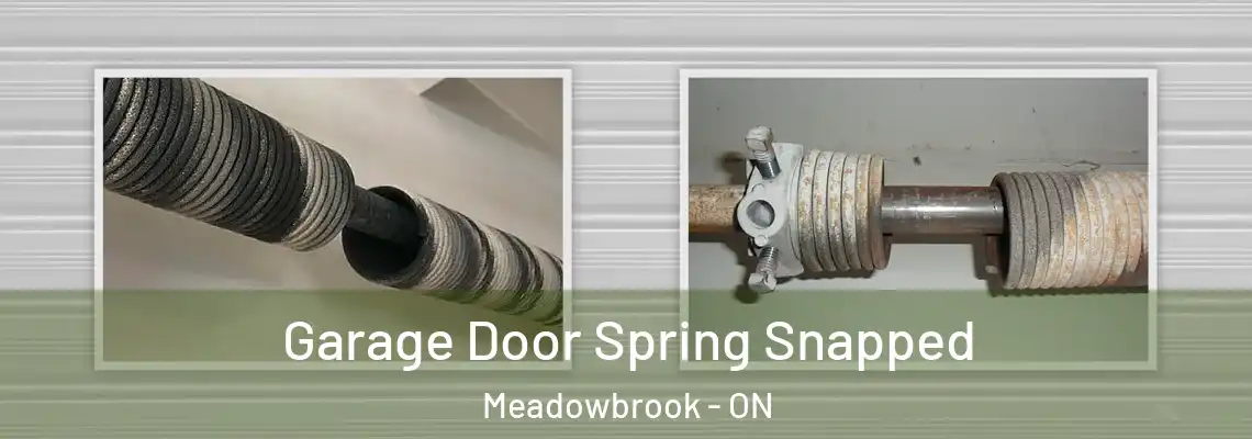 Garage Door Spring Snapped Meadowbrook - ON
