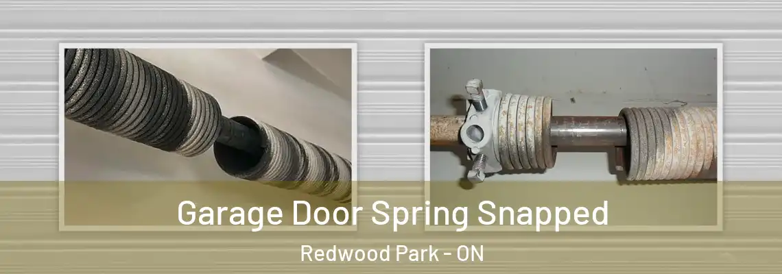 Garage Door Spring Snapped Redwood Park - ON